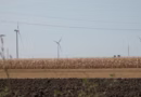 Nga gazi rus te megavatët e gjelbër kinezë: A rrezikon Serbia një varësi të re energjetike?